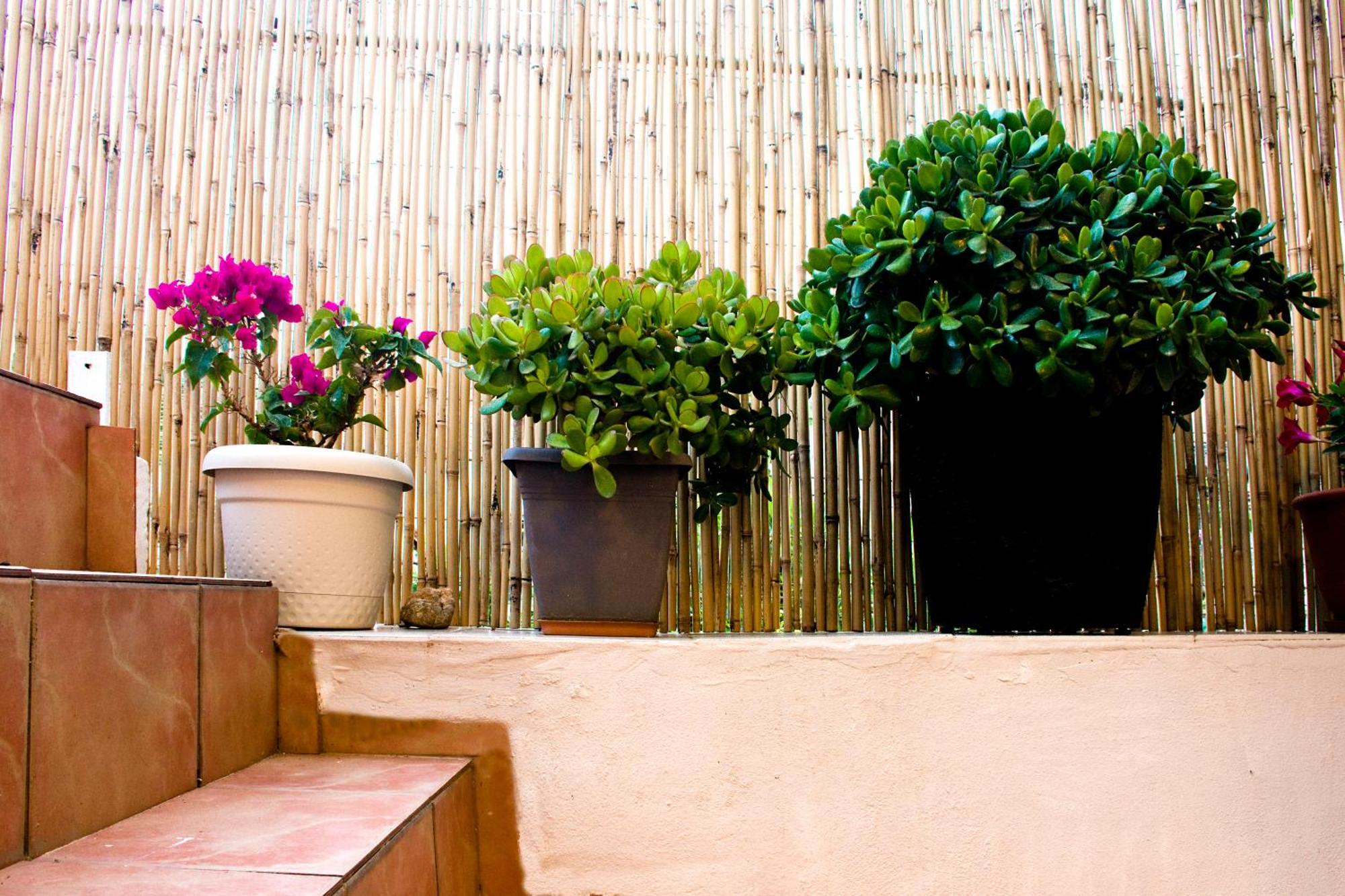 Lilian'S House Villa Chania  Ngoại thất bức ảnh
